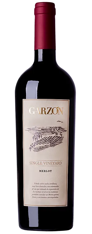 2017 Bodegas Garzon Single vineyard Merlot