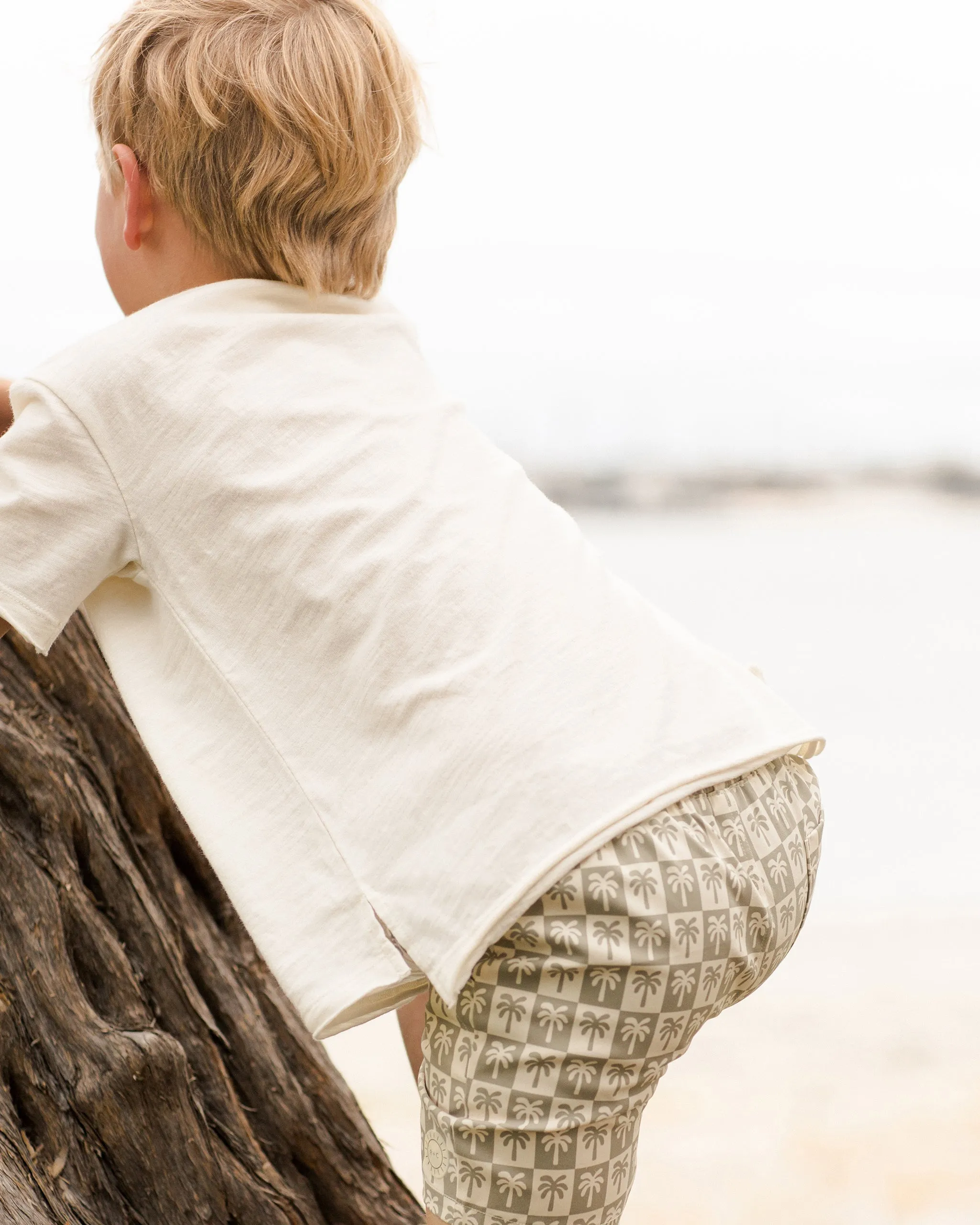 Boardshort | Palm Check Sage