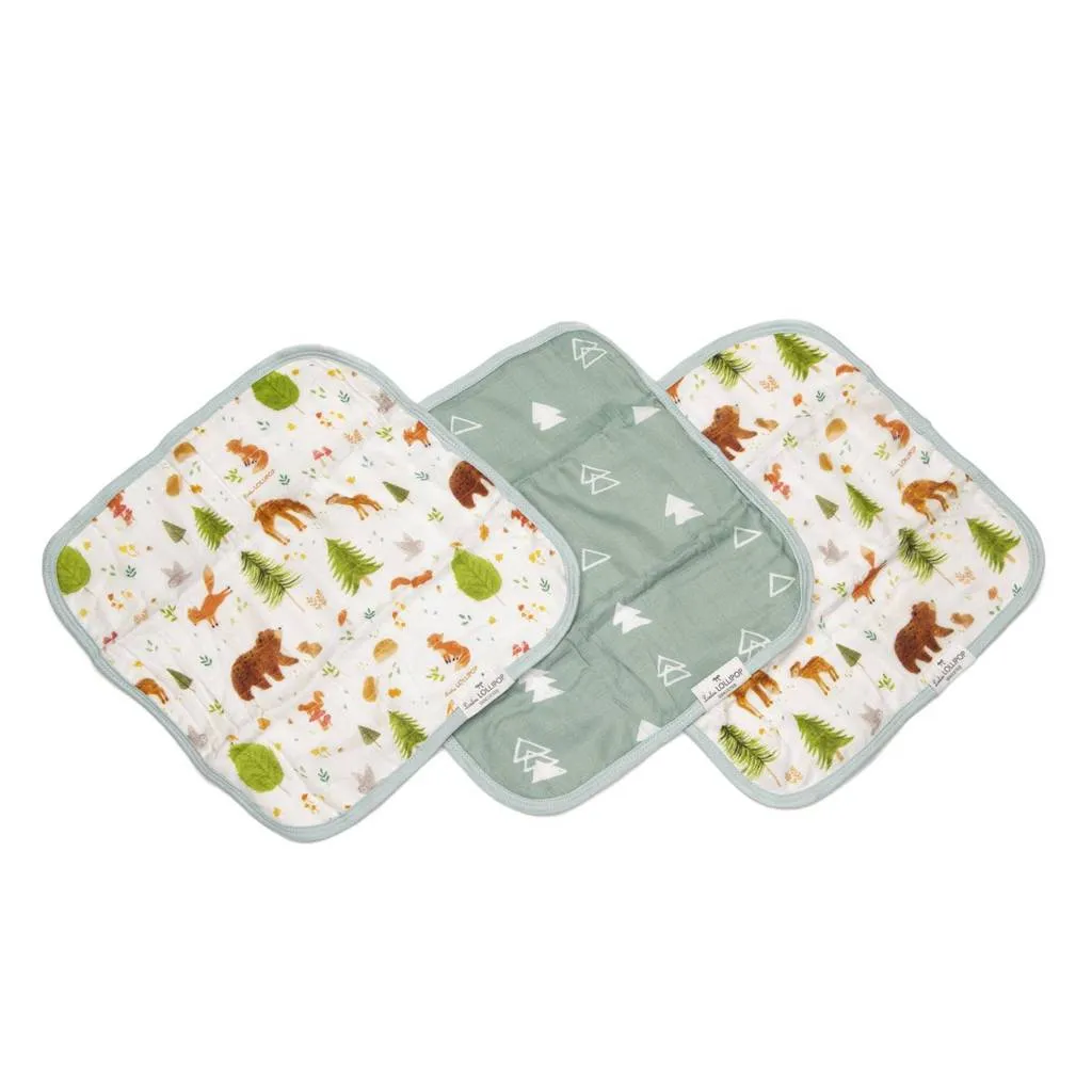 Loulou Lollipop Washcloth Set