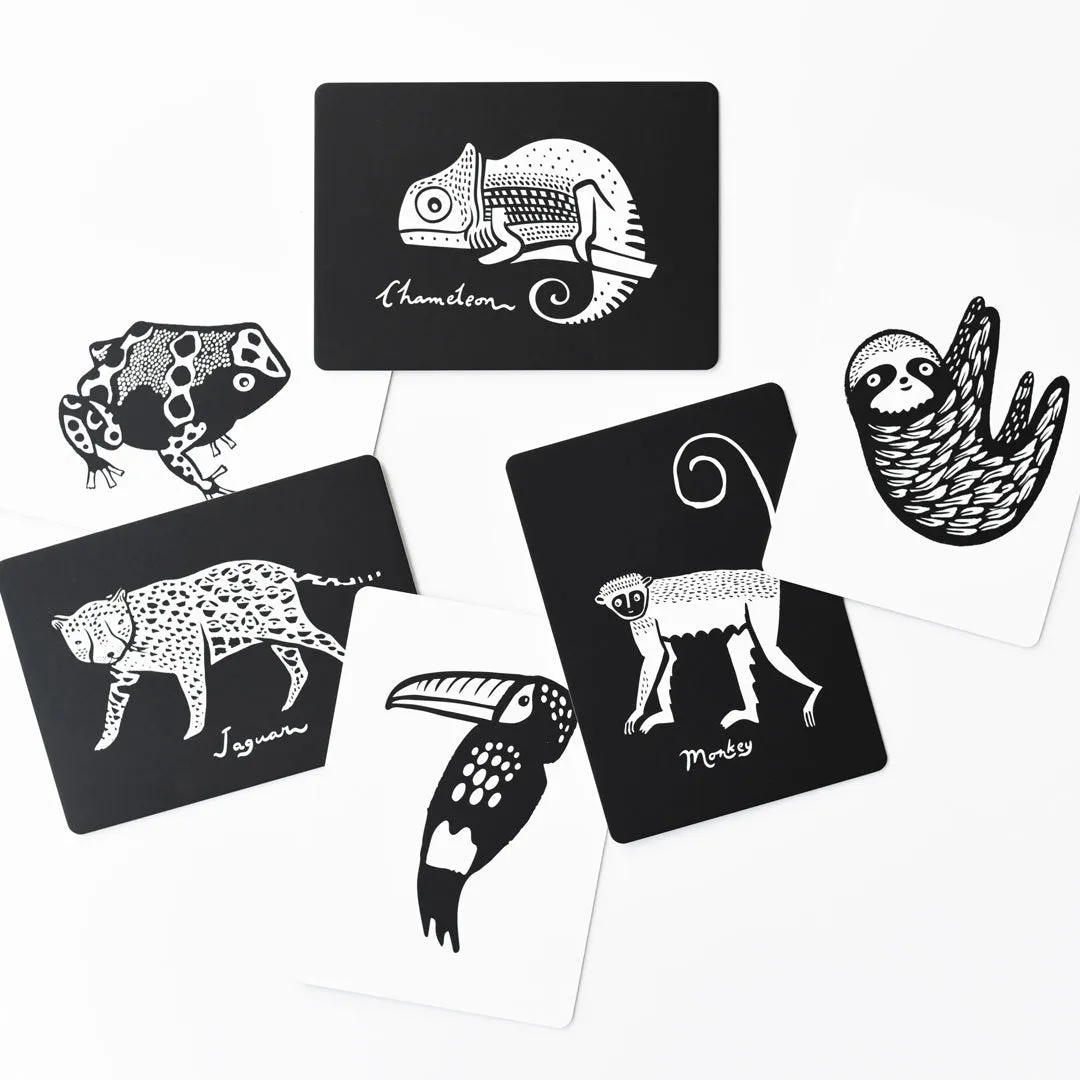 Rainforest Collection - Art Cards from Baby Boutique