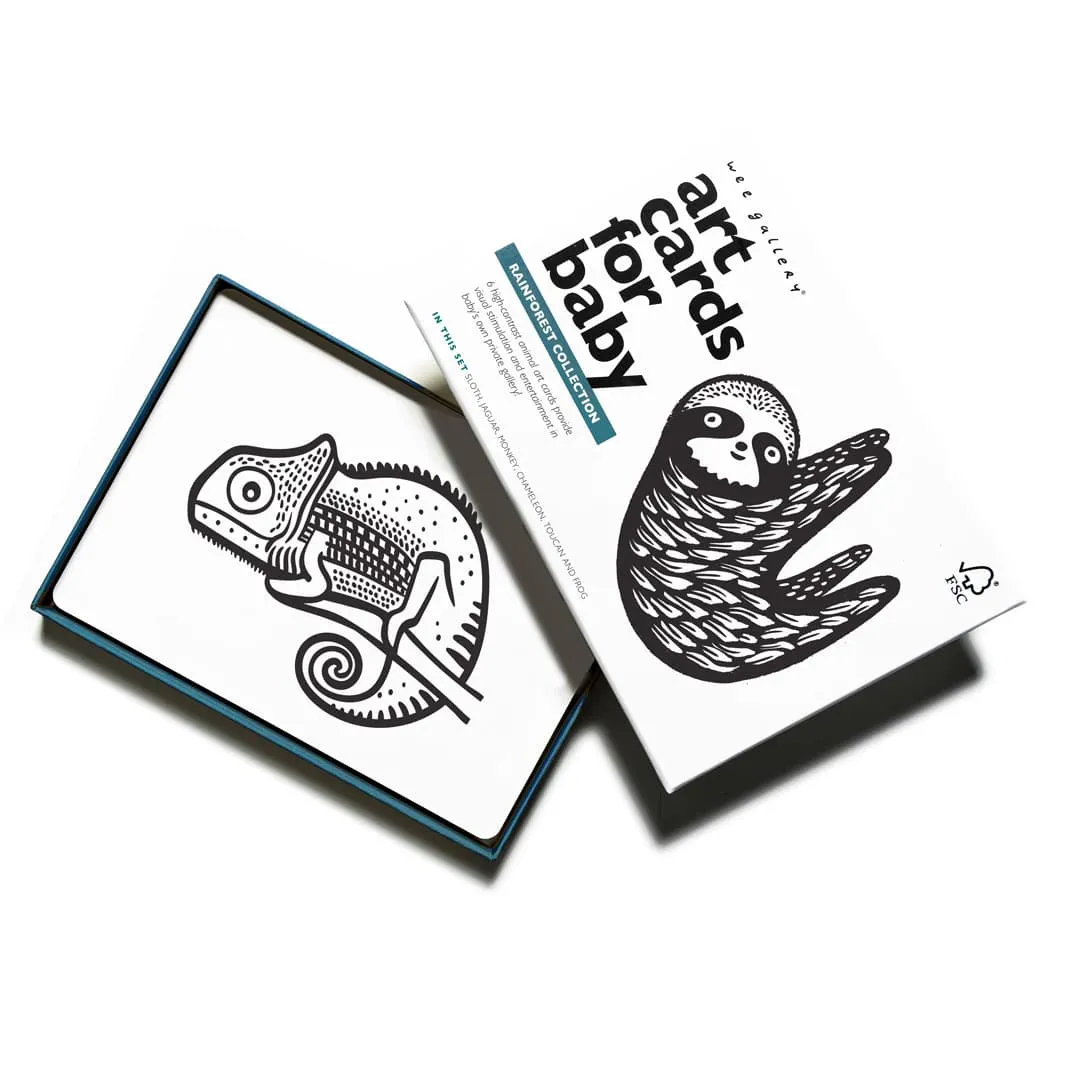 Rainforest Collection - Art Cards from Baby Boutique