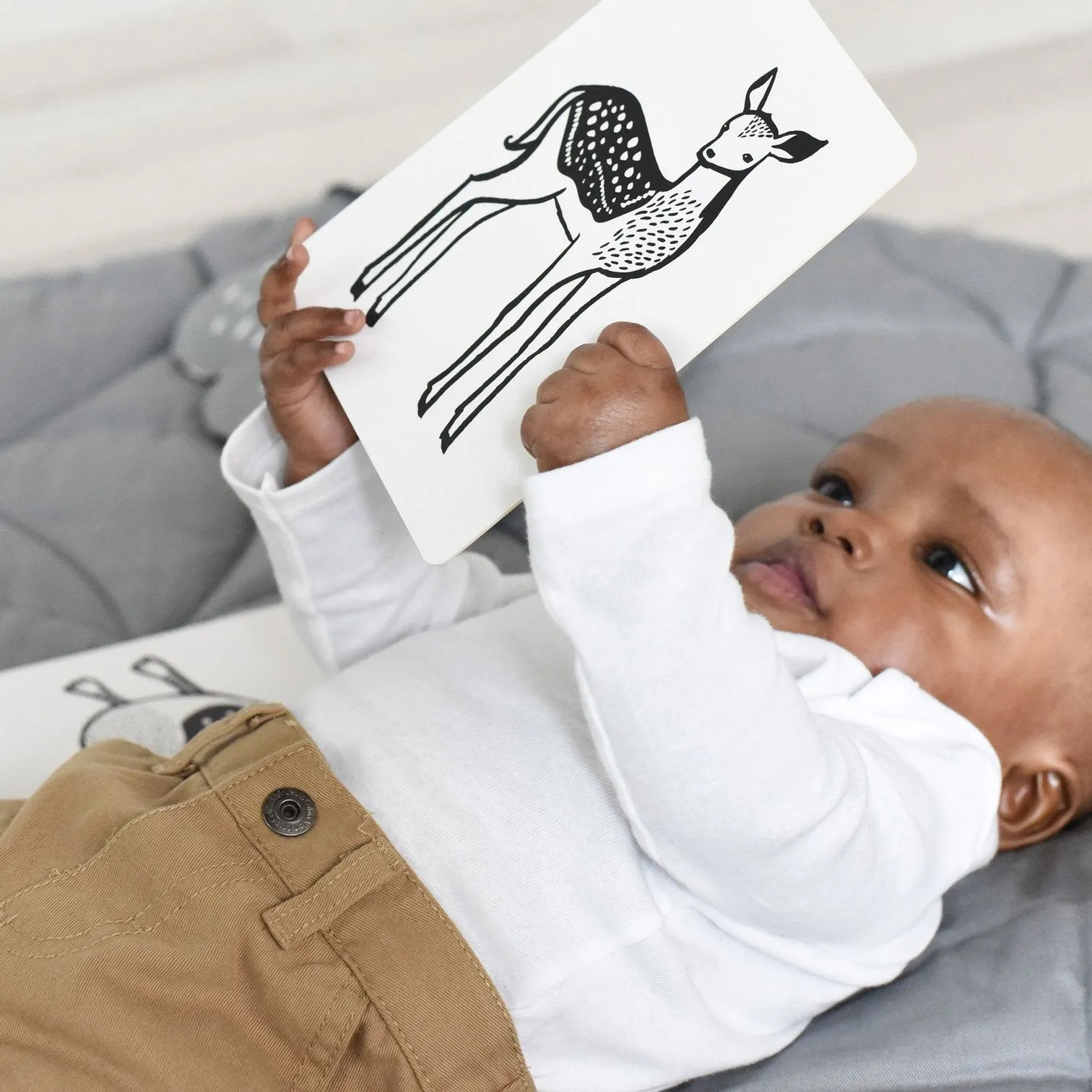 Rainforest Collection - Art Cards from Baby Boutique