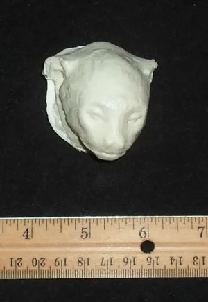 Squirrel Monkey death cast replica Life cast death mask