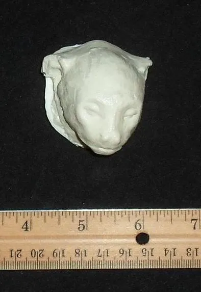 Squirrel Monkey death cast replica Life cast death mask