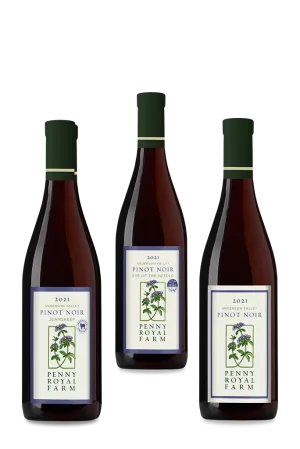 Wine Pack: Rosy Horner